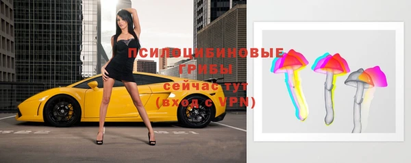 гидра Рославль