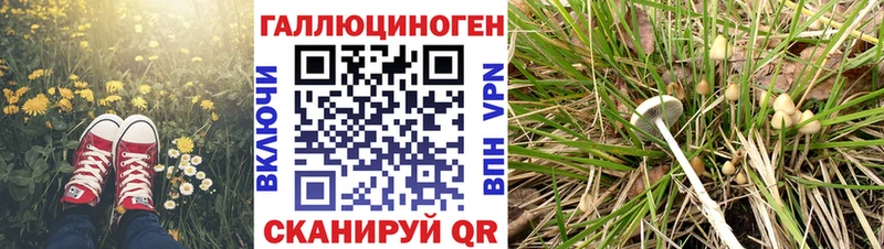 Псилоцибиновые грибы прущие грибы  Калтан 